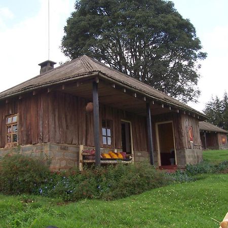 Castle Forest Lodge Mount Kenya National Park ภายนอก รูปภาพ