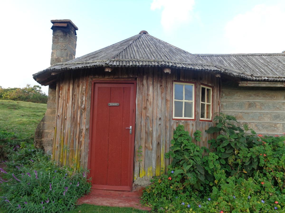 Castle Forest Lodge Mount Kenya National Park ภายนอก รูปภาพ