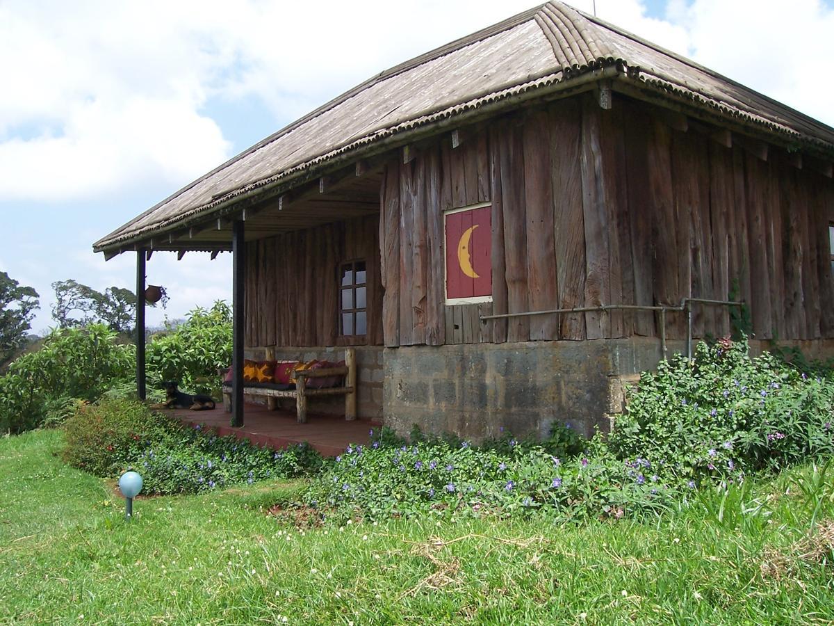 Castle Forest Lodge Mount Kenya National Park ภายนอก รูปภาพ