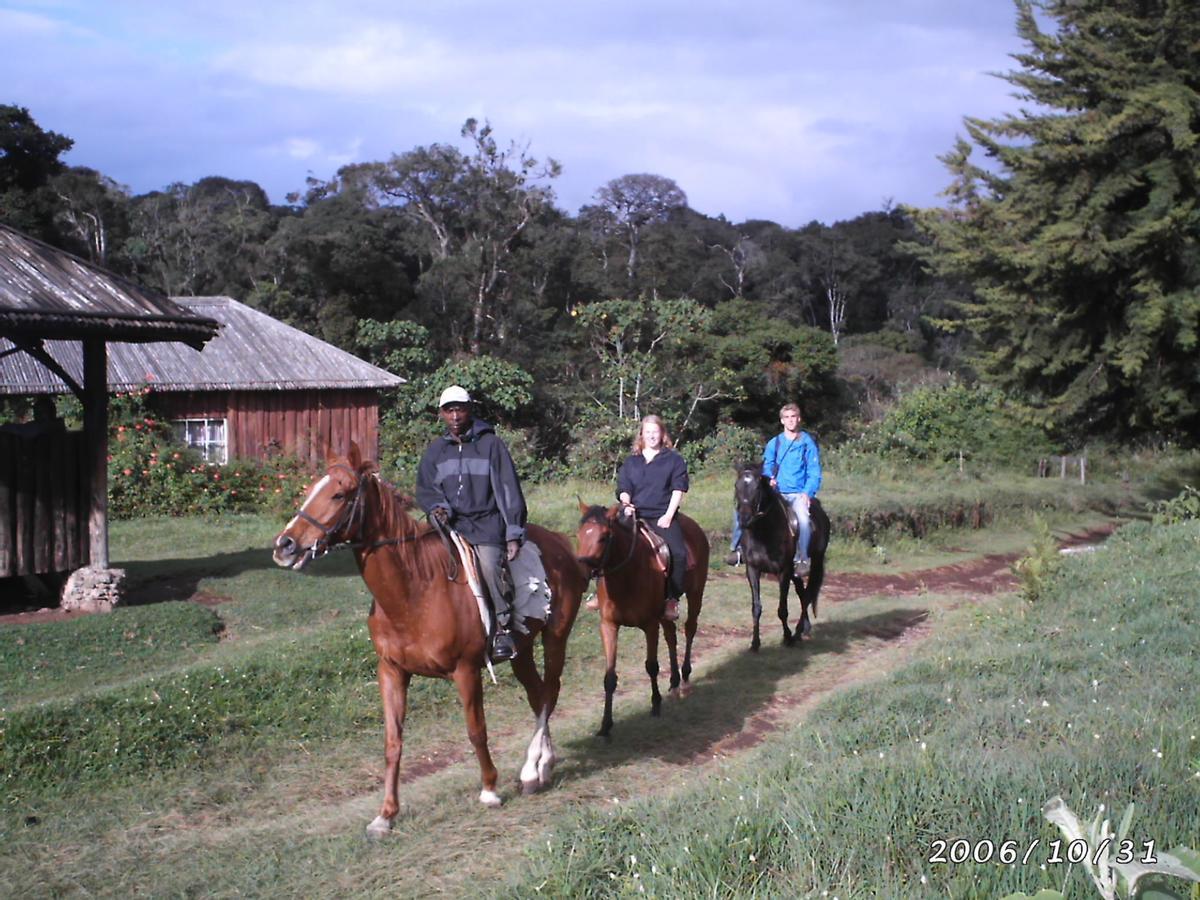 Castle Forest Lodge Mount Kenya National Park ภายนอก รูปภาพ