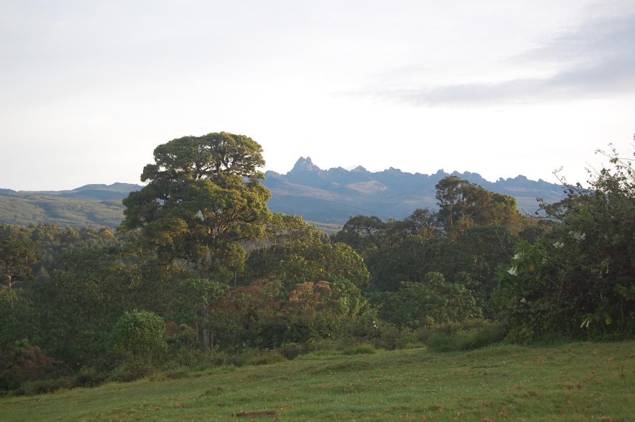 Castle Forest Lodge Mount Kenya National Park ภายนอก รูปภาพ