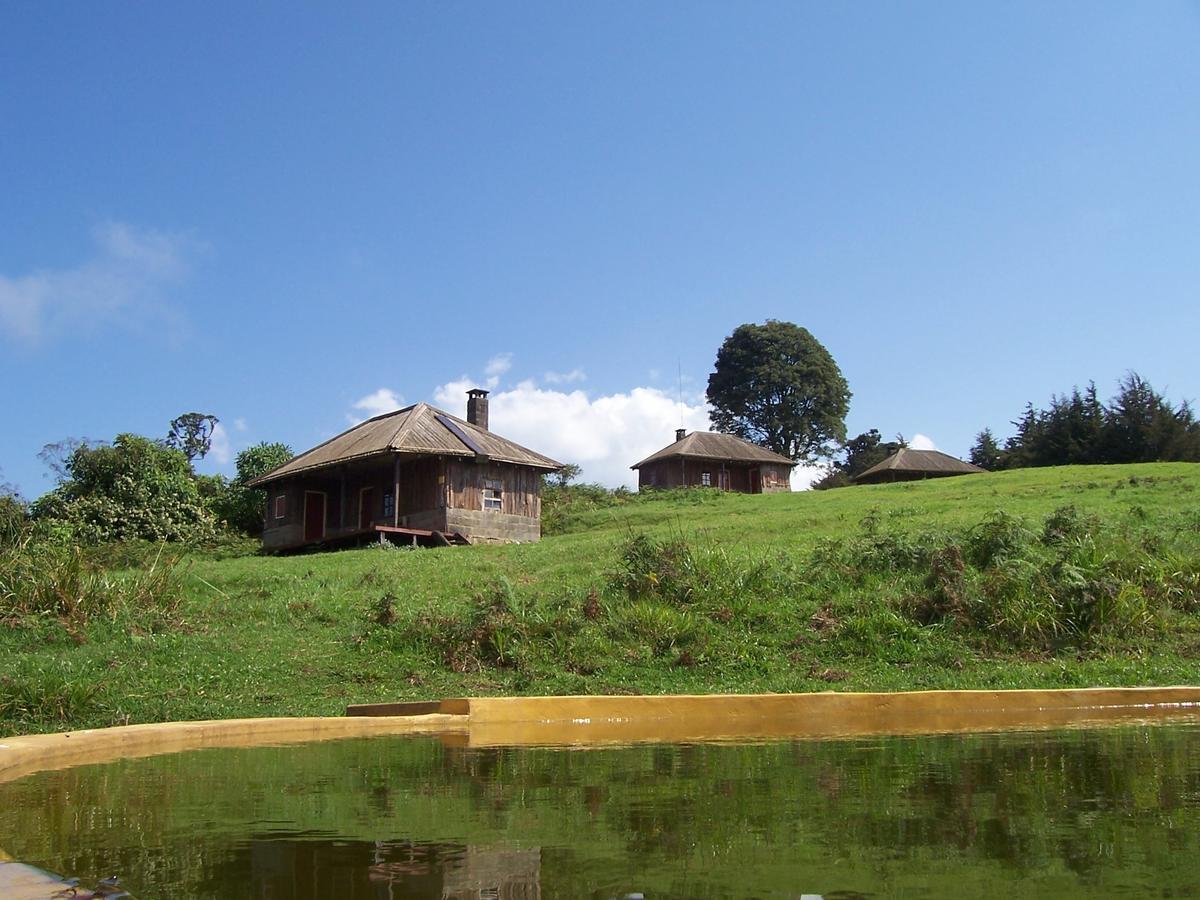 Castle Forest Lodge Mount Kenya National Park ภายนอก รูปภาพ