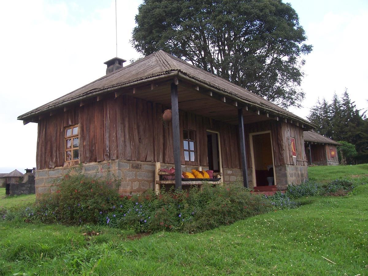 Castle Forest Lodge Mount Kenya National Park ภายนอก รูปภาพ