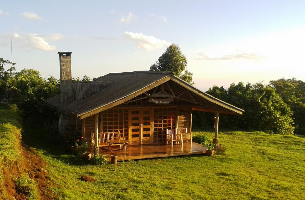 Castle Forest Lodge Mount Kenya National Park ภายนอก รูปภาพ