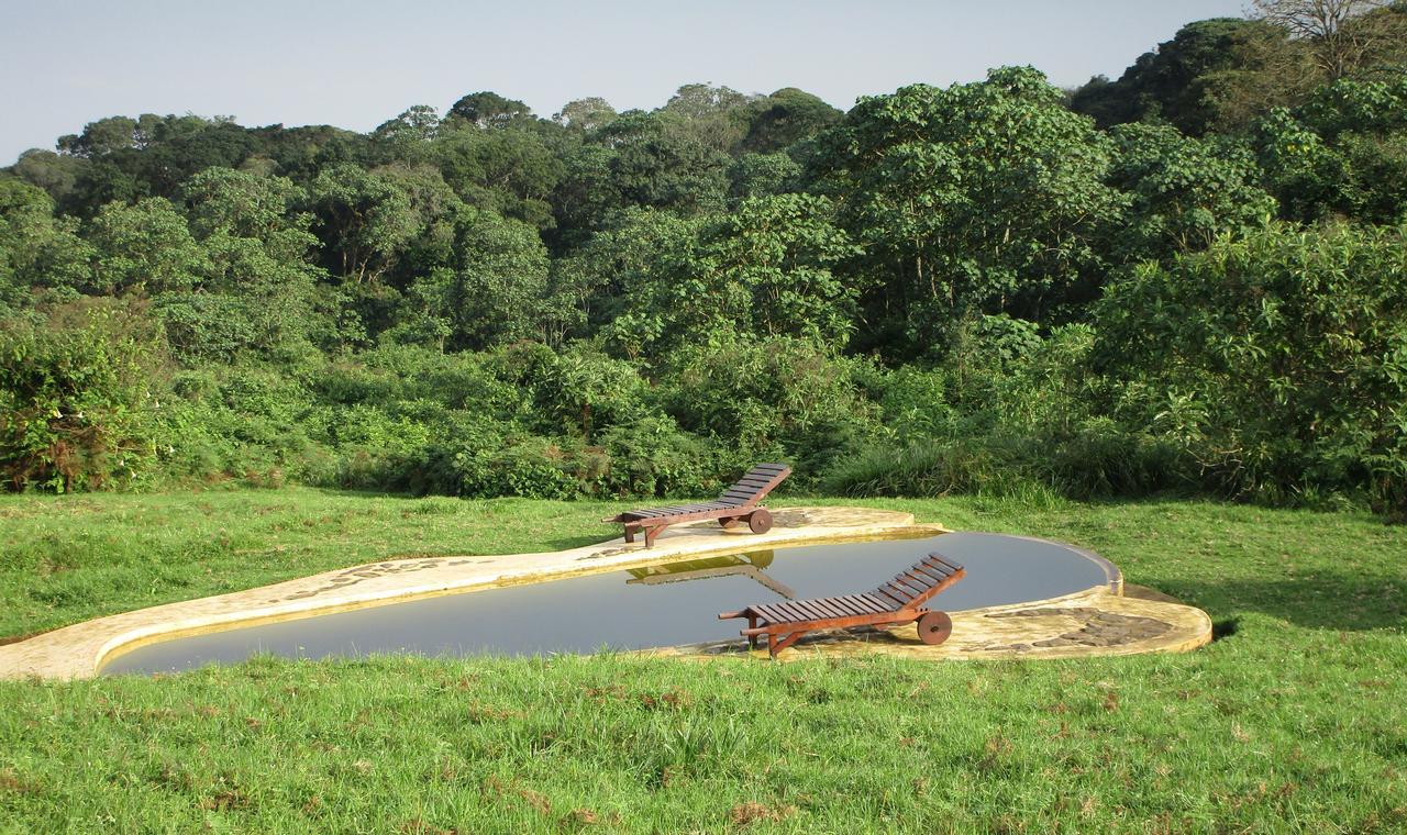 Castle Forest Lodge Mount Kenya National Park ภายนอก รูปภาพ
