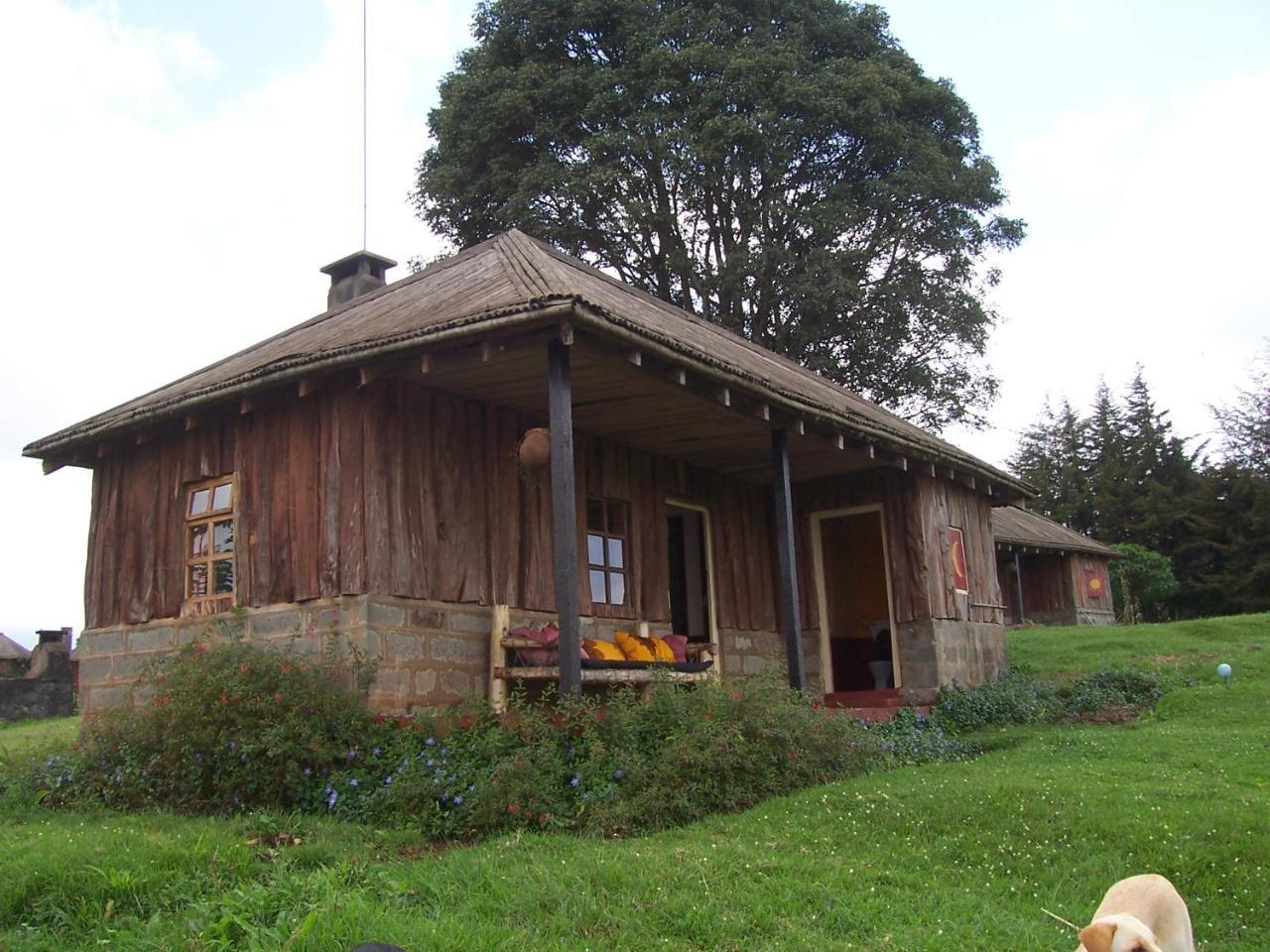 Castle Forest Lodge Mount Kenya National Park ภายนอก รูปภาพ